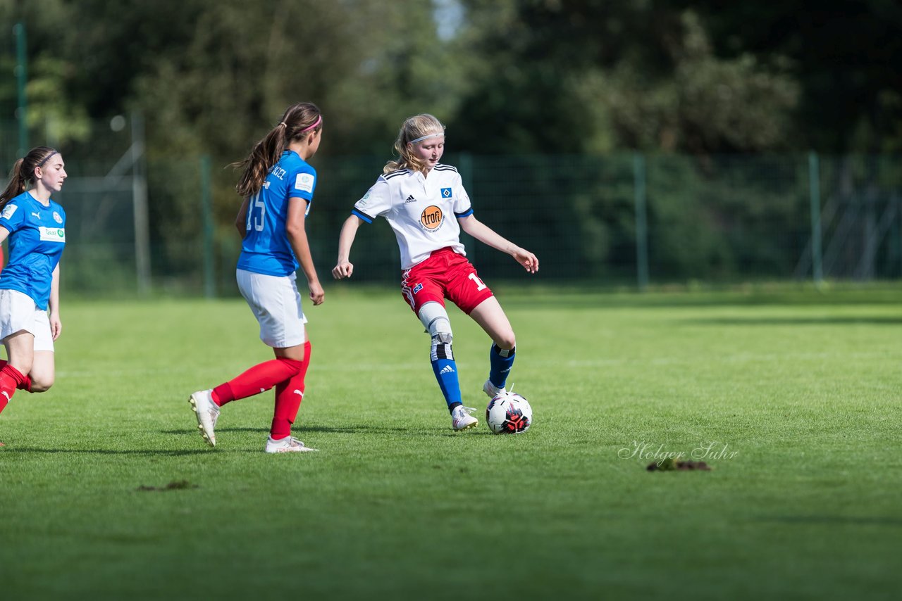 Bild 353 - wBJ Hamburger SV - Holstein Kiel : Ergebnis: 2:0